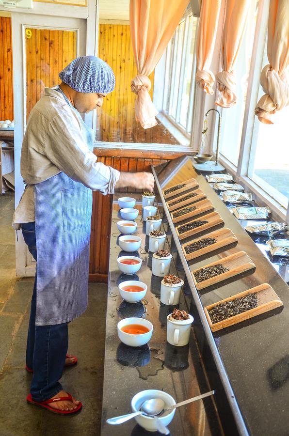 Hôtel Tumsong Chiabari - The Tea Retreat à Darjeeling  Extérieur photo